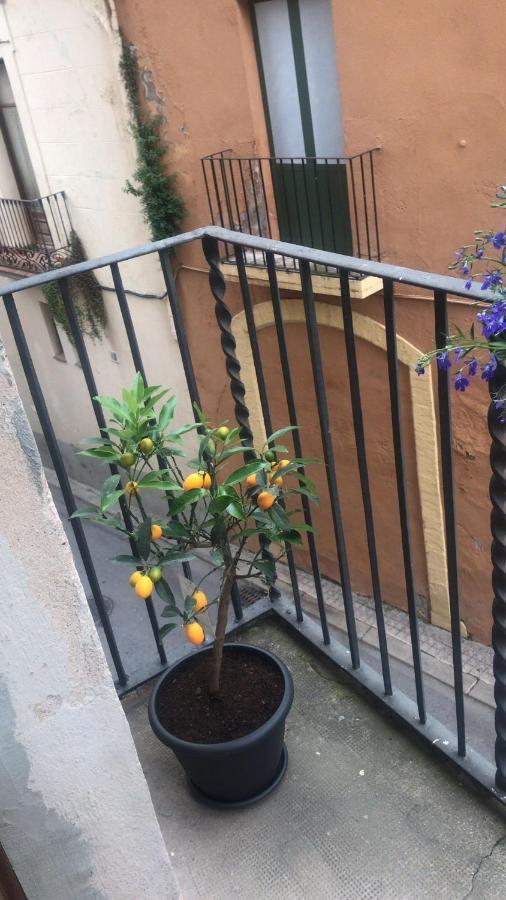 Habitacio Polivalent Al Centre De Manresa Apartment Ngoại thất bức ảnh